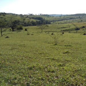 Fazenda em Passos - MG