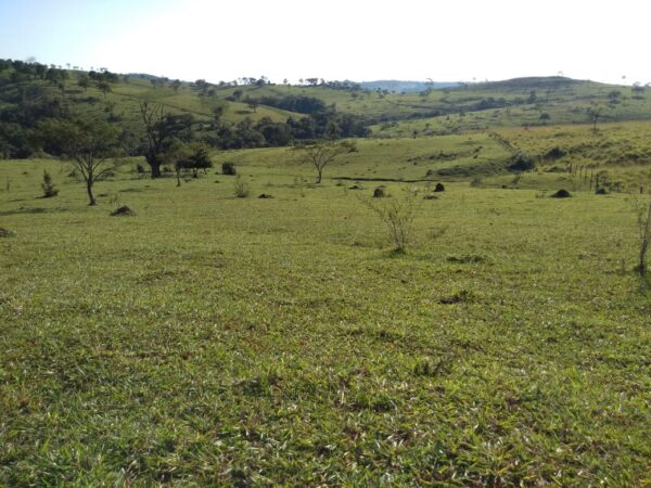 Fazenda em Passos - MG
