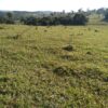Fazenda em Passos - MG - Image 24