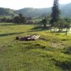 Fazenda em Passos - MG - Image 26
